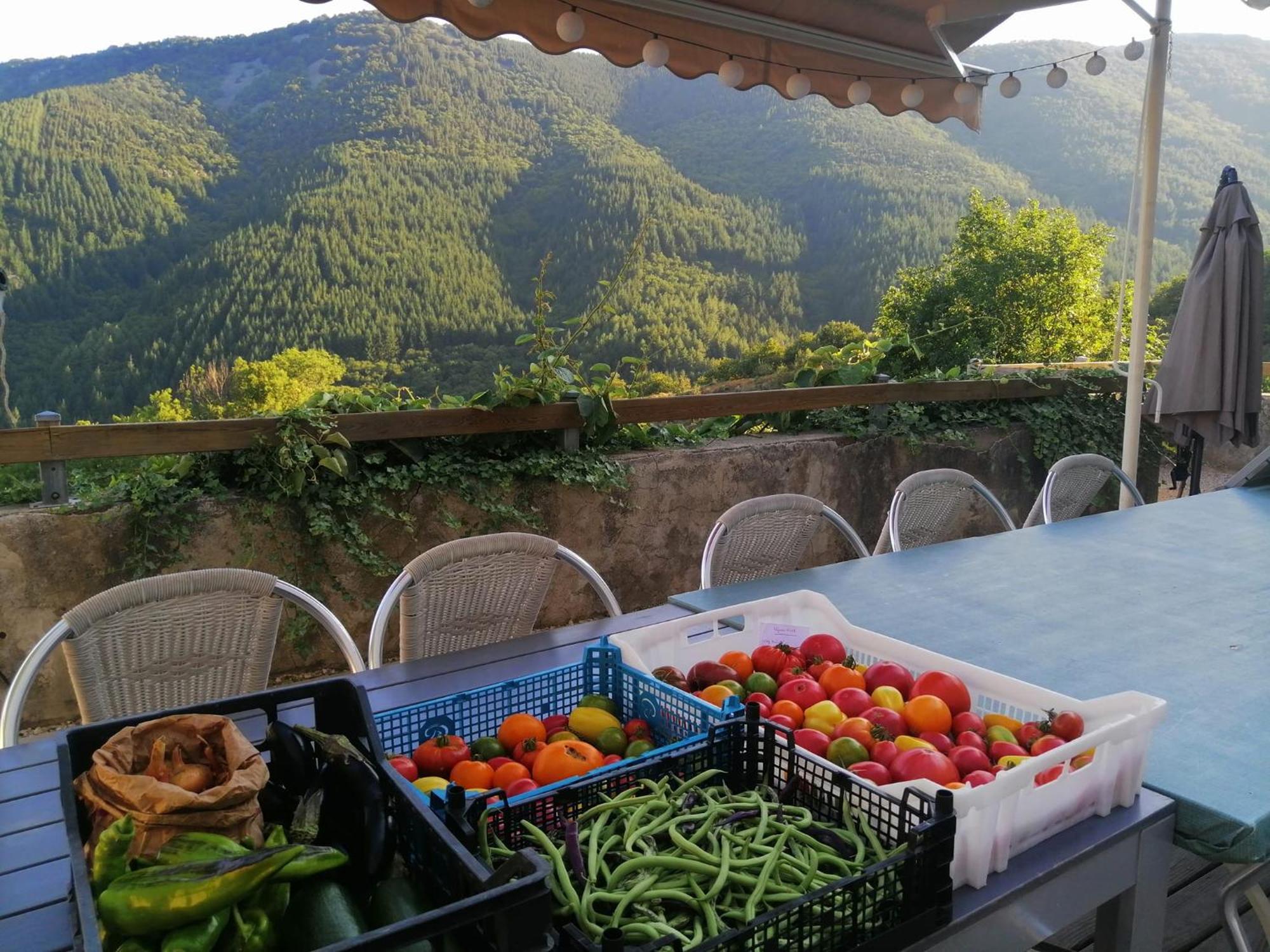 Les Chambres De La Ferme De Chalas Valgorge Exterior foto