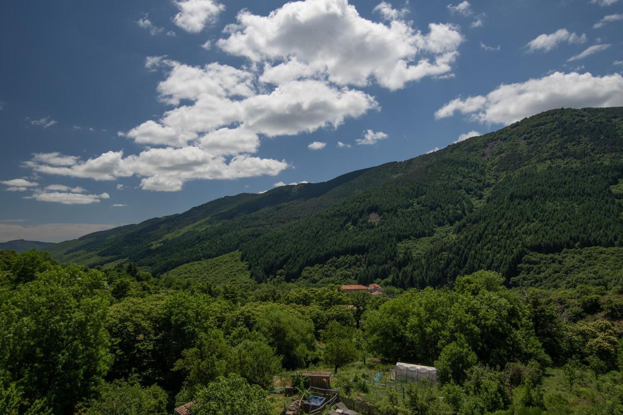 Les Chambres De La Ferme De Chalas Valgorge Exterior foto